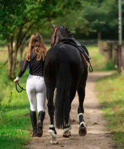 Lami-Celli Comfort Bamboo tagajalakaitsmed hobusele, bambussöe tehnoloogia ja kunstlambakarvaga.