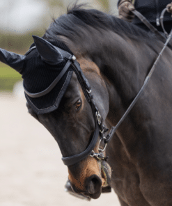 Galaxy kõrvad kaitsevad hobuse kõrvu putukate ja müra eest.