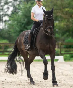 Galaxy kõrvad kaitsevad hobuse kõrvu putukate ja müra eest.