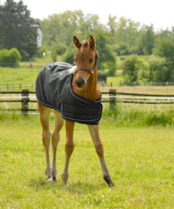 Lami-Cell Bamboo tekk varsale. Sobib varakult sündinud või külma ilmaga varsale.