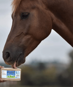 Lakukivi Bronchial hingamisteedele, piparmündi ja eukalüpti eeterlike õlidega.
