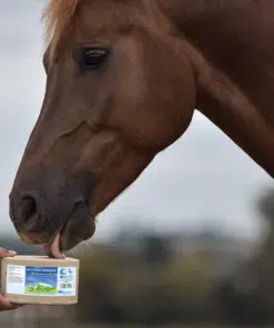 Lakukivi Bronchial hingamisteedele, piparmündi ja eukalüpti eeterlike õlidega.