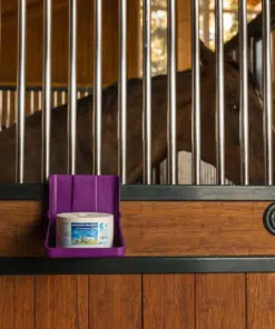 Lakukivi Bronchial hingamisteedele, piparmündi ja eukalüpti eeterlike õlidega.