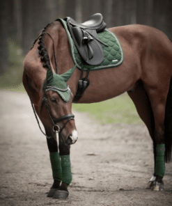 Lami-Cell koolisõiduvaltrap Venus läikiva viimistlusega.