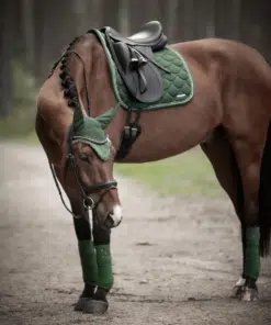 Lami-Cell koolisõiduvaltrap Venus läikiva viimistlusega.