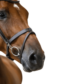 PS of Sweden anatoomilised valjad London – elegantsed, minimalistliku disainiga ja kvaliteetsed valjad.