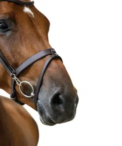 PS of Sweden anatoomilised valjad London – elegantsed, minimalistliku disainiga ja kvaliteetsed valjad.