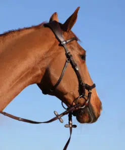 PS of Sweden King Edward valjad – koostöös Henrik von Eckermanniga, käsitsi valmistatud taimpargitud nahast.