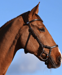 PS of Sweden King Edward valjad – koostöös Henrik von Eckermanniga, käsitsi valmistatud taimpargitud nahast.