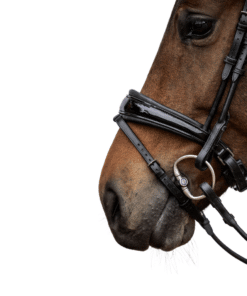 PS of Sweden valjad GP Lacquered, koolisõidu valjad tundlikele hobustele, pehme polstriga ninarihm ja kuklarihm.