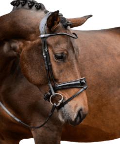 PS of Sweden valjad GP Lacquered, koolisõidu valjad tundlikele hobustele, pehme polstriga ninarihm ja kuklarihm.