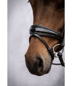 PS of Sweden valjad GP Lacquered, koolisõidu valjad tundlikele hobustele, pehme polstriga ninarihm ja kuklarihm.