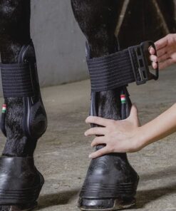 Acavallo geeliga neopreenvoodriga jalakaitsmed hobustele