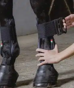 Acavallo geeliga neopreenvoodriga jalakaitsmed hobustele