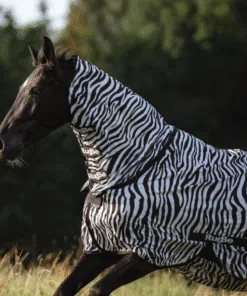 Zebra mustriga putukate ja ekseemi tekk kaela osaga – Covalliero Fly & Eczema RugBe
