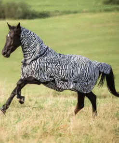 Zebra mustriga putukate ja ekseemi tekk kaela osaga – Covalliero Fly & Eczema RugBe