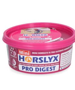 Seedimist toetav Horslyx Mini – õunamaitseline