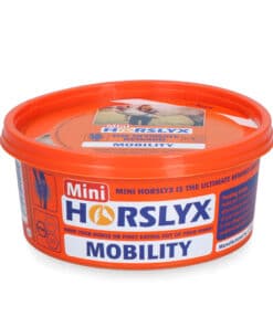 Liigestuge toetav Horslyx Mini – MSM ja glükoosamiin