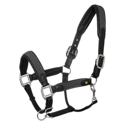 Equestro Leather Halter with Braided Nylon Inserts
