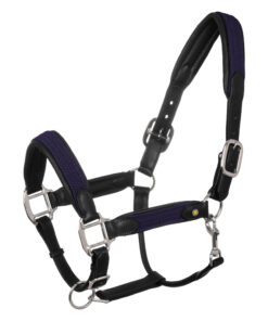 Alternative view of Equestro Leather Halter with Braided Nylon Inserts