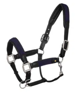 Alternative view of Equestro Leather Halter with Braided Nylon Inserts
