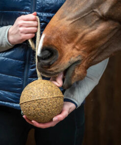 Unika pall Elyte – elektrolüütidega närimispall hobustele