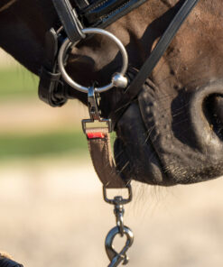 Imperial Riding cappuccino kordedelta kinnitatuna hobuse valjastele