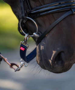Imperial Riding tumesinine kordedelta hobuse valjastele kinnitatuna