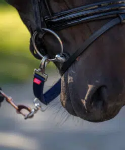 Imperial Riding tumesinine kordedelta hobuse valjastele kinnitatuna