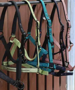 Lami-Cell Charming päitsed kristallidega – värske ja särav valik hobusele