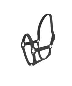 Mustad Lami-Cell Charming päitsed kristallidega – elegantsed ja mugavad hobusele