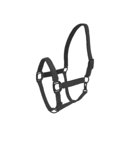 Mustad Lami-Cell Charming päitsed kristallidega – elegantsed ja mugavad hobusele