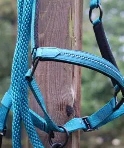 Lami-Cell Charming päitsed kristallidega – värske ja särav valik hobusele