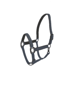 Tumesinised Lami-Cell Charming päitsed kristallidega – klassikaline ja stiilne valik hobusele