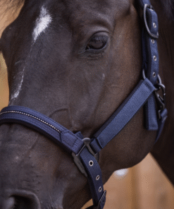 Tumesinised Lami-Cell Charming päitsed kristallidega – klassikaline ja stiilne valik hobusele