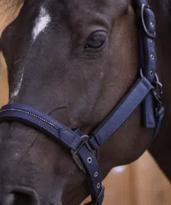 Tumesinised Lami-Cell Charming päitsed kristallidega – klassikaline ja stiilne valik hobusele