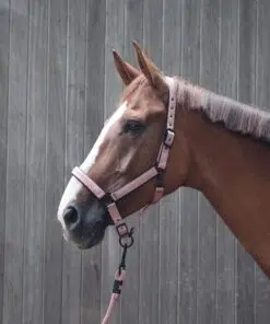 Roosad Lami-Cell Charming päitsed kristallidega – naiselik ja mugav valik hobusele