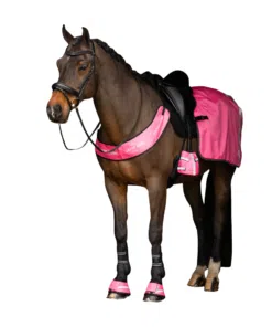 Imperial Riding Reflective Exercise Rug